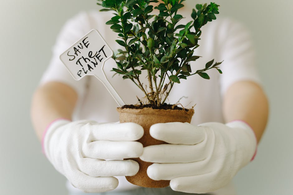 Close-up of hands in gloves holding a potted plant with 'Save the Planet' sign.